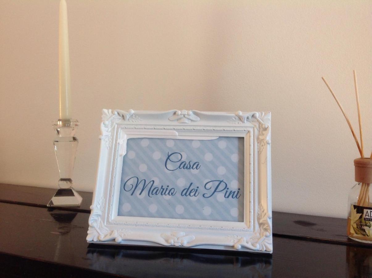 Casa Mario Dei Pini Holiday home